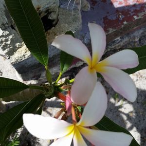 Meet your Posher, Todd